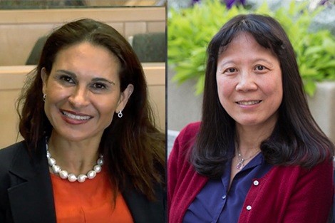 Francesca Dominici, Xihong Lin Elected to National Academy of Medicine