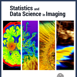Erasing the Gap Between Statistics and Imaging: A Q&A with Marina Vannucci’